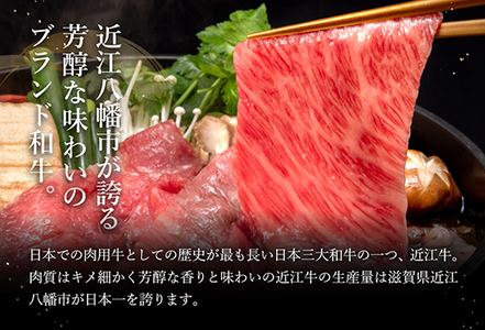 【3月末までに発送】近江牛A5ランク焼肉・すき焼セット【800g】【DG11SM-3m】