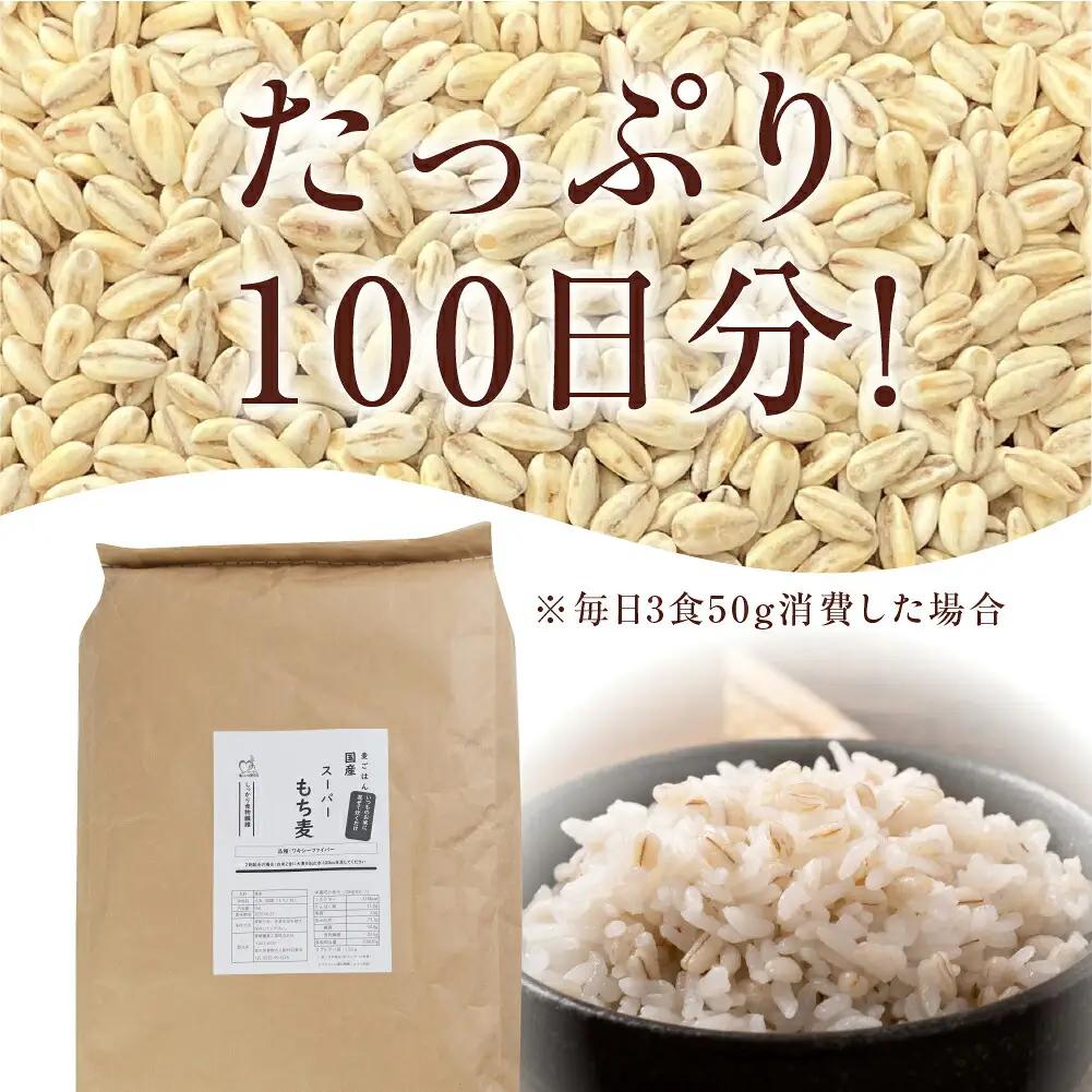 豊橋産スーパーもち麦 5kg もち麦　