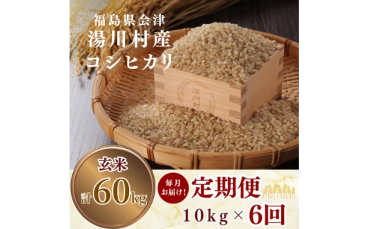 ＜発送月固定定期便＞湯川村産コシヒカリ 玄米10kg(R8.10-12・R9.1-3)全6回【4091511】