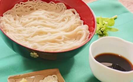 生そうめん 100g×5人前×2セット | そうめん 10人前 10食 セット 麺 麺類 辛汁 冷凍 茨城県 守谷市