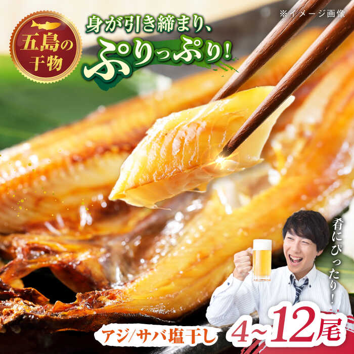 【ふるさと納税】【お届け内容が選べる】一夜干し 塩干し（アジ/サバ）計4尾/8尾/12尾 五島市/愛情食彩[PCH009] 魚 干物 一夜 あじ さば 長崎 おかず おつまみ