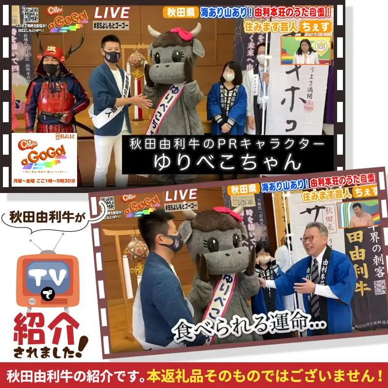 《定期便》12ヶ月連続 秋田由利牛 バラ切り落とし 3kg（500g×6パック）