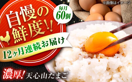【全12回定期便】天心山 たまご 60個（10個入り×6パック） 卵 たまご 高級 食品 たまごかけご飯 卵かけご飯 卵焼き 生卵 濃厚 ケーキ お菓子 づくり ランキング 上位 人気 おすすめ 定期便　広島県福山市/天心山ファーム[BABW040]