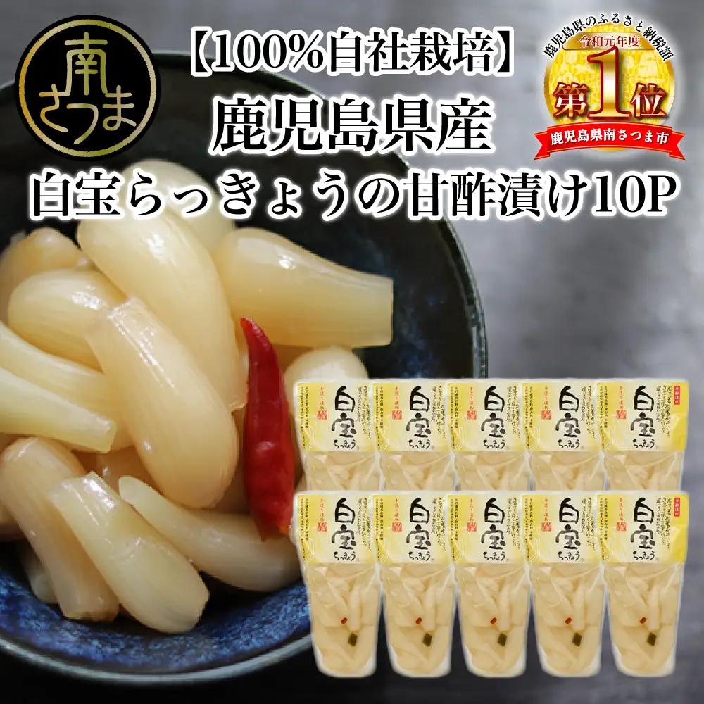 鹿児島県産 白宝らっきょう（90g×10P） ラッキョウ 甘酢らっきょう 惣菜 常温保存 ご飯のおとも 野菜 常温 漬物 国産