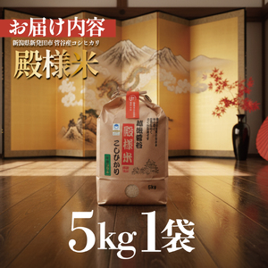 新米予約 新潟県産 越後菅谷殿様米 5㎏ 令和6年産 新潟県産 新発田産 米 5kg 越後菅谷 殿様米 コシヒカリ D05_03 