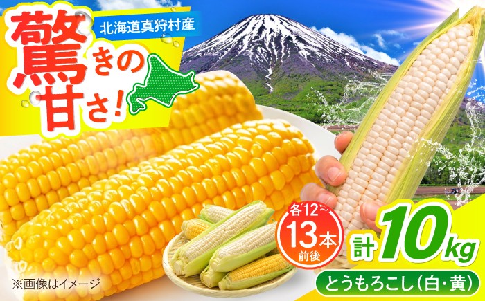 
                  【8月下旬以降順次発送】 白と黄色のとうもろこし 各5kg |  とうもろこし とうきび トウモロコシ トウキビ コーン  朝採れ  野菜 やさい 北海道 産地直送 採れたて野菜 旬 お取り寄せ 先行予約 産直 人気 | 道の駅 真狩フラワーセンター [BPAM019]
                