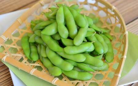 えだまめ （秘伝） 約2kg （約250g✕8） 枝豆 大粒 豆類 【2025年9月下旬-10月上旬発送予定】