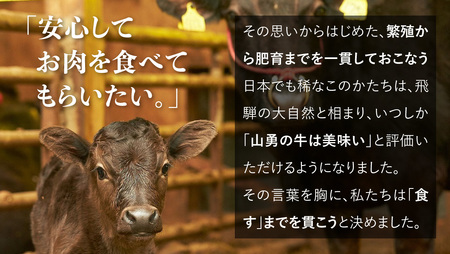 飛騨の牧場で育った熟成飛騨牛『山勇牛』堪能ステーキセット 赤身 霜降り 食べ比べ［F0019］