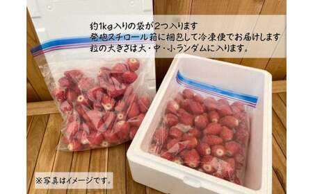R3-34 苺屋たくみの冷凍いちご|冷凍いちご いちご ふぞろい いちご 冷凍いちご