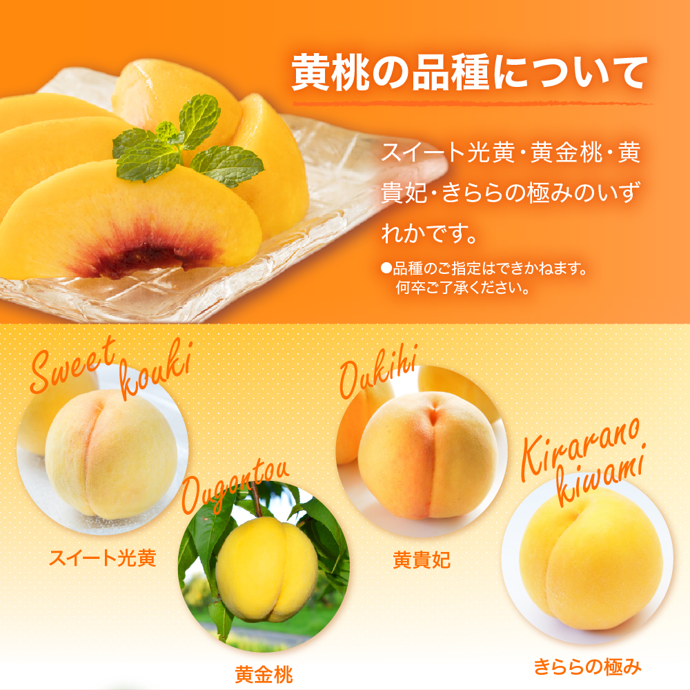 【2025年産 先行予約】 白桃 ＆ 黄桃 詰め合わせ (品種おまかせ) 5kg 東根農産センター提供 山形県 東根市 hi027-157-2_イメージ3