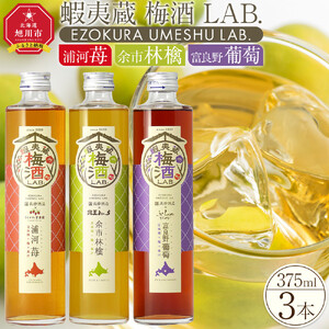 日本酒ベース 蝦夷蔵 梅酒 LAB.セット（苺・林檎・葡萄）| 飲み比べ セット いちご りんご ぶどう アルコール 限定 北海道_01106