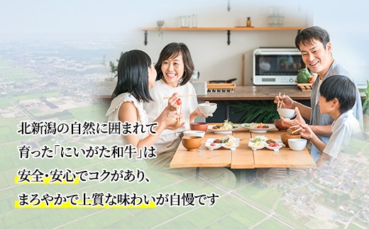 71-Iにいがた和牛 すき焼き・しゃぶしゃぶ スライス 400g