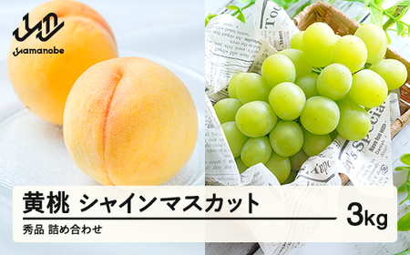 《先行予約》シャインマスカット 秀品 & 有袋黄桃 詰め合わせ 3kg 令和8年産 2026年産 果物 桃 白桃 ※沖縄・離島への配送不可 ns-fsosx3