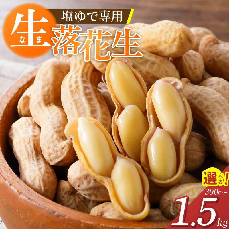 【ふるさと納税】先行予約 生落花生 金の生落花生 選べる 容量 300g 1kg 1.5kg やみつき 極うま 生ピーナッツ 塩ゆで専用 国産 落花生 地豆 豆 さとのか 朝採り 鮮度 栄養 おつまみ サラダ かき揚げ 神重農産 食品 お取り寄せ 愛知県 碧南市 送料無料