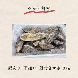 訳あり 冷凍 殻付き牡蠣 5kg 加熱用 三陸産 牡蠣