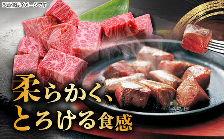 【10月発送】飛騨牛 サイコロステーキ 部位おまかせ 500g A5等級 和牛 ブランド牛 国産 牛肉 多治見市 / 渡辺精肉店 [TAZ038-10]