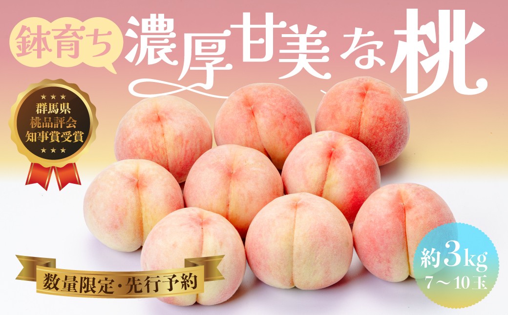 
                  桃 鉢育ち 濃厚甘美な桃 3kg 7～10玉｜先行予約 数量限定 期間限定 桃 フルーツ 果物 産地直送 限定品 贈り物 新鮮 お取り寄せ デザート ギフト 風味豊か 香り 甘い 限定 果樹 フルーツ 旬 ジューシー みずみずしい 季節のフルーツ 前橋市 群馬県
                