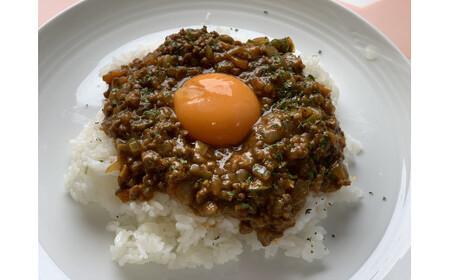 鳥取県のお肉をふんだんに使った、こだわりの味 倉吉八犬伝ドライカレー6箱セット カレー ドライカレー レトルト セット