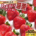 【ふるさと納税】【先行予約】糸島産 あまおう ギフト 箱 ( 24-30粒 ) 【2024年12月上旬以降順次発送】 《糸島》【南国フルーツ株式会社】 [AIK011] 16000円