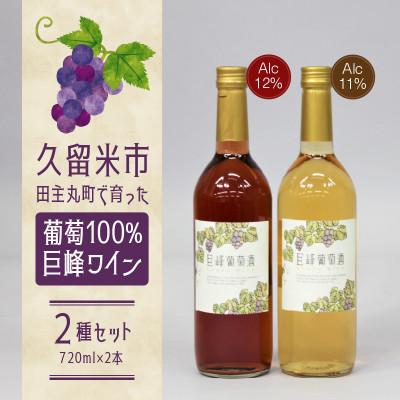 ふるさと納税 久留米市 久留米市田主丸町で育った葡萄100% 巨峰ワイン2種セット(720ml×2本)