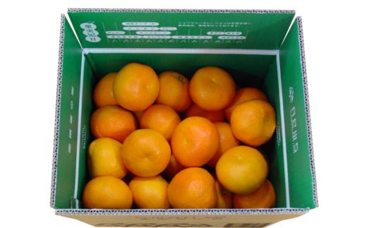 【先行予約】産地直送！愛媛県産いよかん 5kg（2026年1月中旬から発送予定） 【 ふるさと納税 人気 おすすめ ランキング みかん ミカン 蜜柑 いよかん フルーツ 果物 産地直送 ニュウズ 愛媛県産 愛媛県 伊方町 送料無料 】 IKTF004
