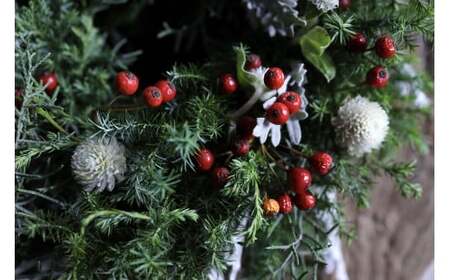 Xmas限定　クリスマスリース Φ20【12/18まで受付】生花 ドライフラワー 観葉植物 Xmas 季節限定 数量限定 送料無料 長持ち リビング 玄関 ダイニング キャンドル ※2025年11月下
