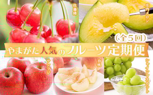 《2026年発送先行予約》やまがた人気のフルーツ定期便（全5回） FSY-2602