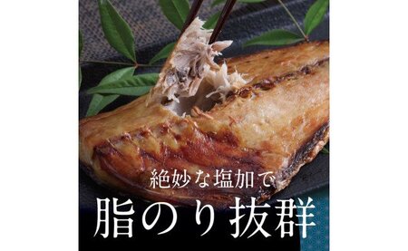 高知の海の干物たち＜高知市・南国市共通返礼品＞