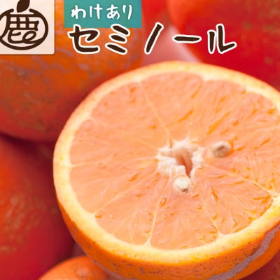 家庭用 セミノールオレンジ10kg+250g(傷み補償分)【春みかん】【訳あり】【光センサー選果】【配送不可地域：離島・北海道・沖縄】【1651296】