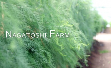 ≪先行予約≫永利農園 小郡産 朝採りアスパラガス 1kg(SS、S、M、L、2Lサイズ混)