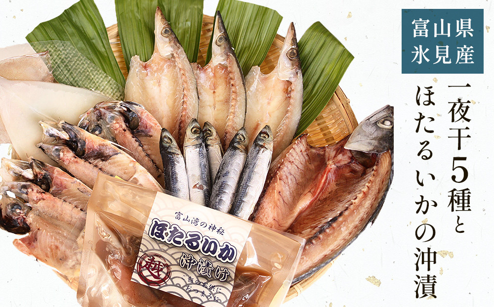 
            【氷見 堀与】 一夜干し5種とほたるいかの沖漬 
          