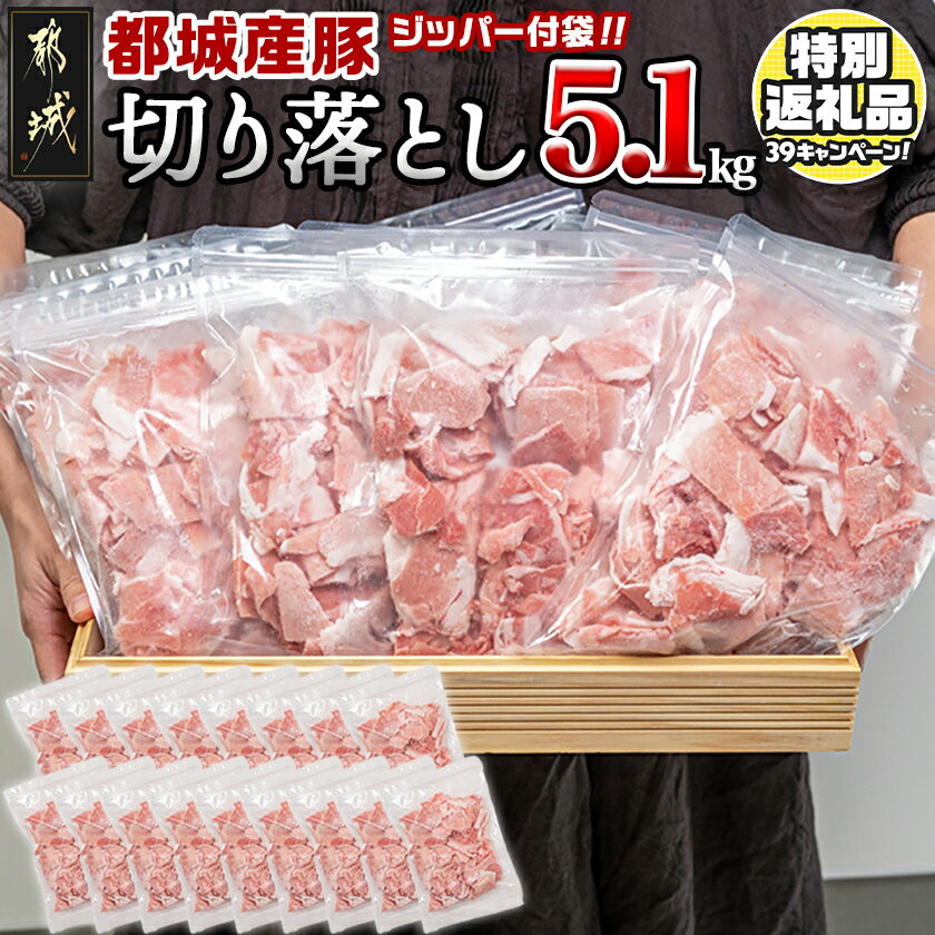 国産豚切り落とし5.1kg(ジッパー付袋入り) - 国産豚肉 総重量5kg超え 切落とし(300グラム×17パック) チャック付き 小分け 冷凍 省スペース ウデ肉/モモ肉 ストックにぴったり 送料無料 MJ-1548 【宮崎県都城市は令和2年度ふるさと納税日本一！】