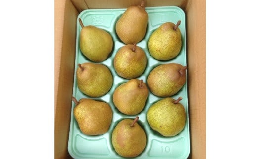 西洋梨（ラ・フランス）３ｋｇ　0007-2501