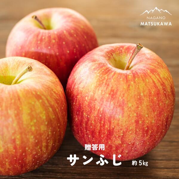 【ふるさと納税】 サンふじ 贈答 約5キロ りんご 長野県 松川町 南信州　KR15