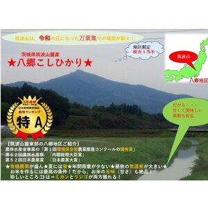 食味ランク【特A地帯】筑波山麓厳選★検査1等米こしひかり【恋瀬姫の舞】白米5kg 令和7年産【配送不可地域：離島・沖縄県】【1699591】