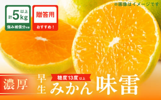 糖度13度以上 先行予約 数量限定 早生みかん 味雷 みらい 計5kg以上 傷み補償分付き 期間限定 フルーツ 果物 くだもの 柑橘 蜜柑 ミカン 国産 おすすめ ギフト 贈り物 贈答 おやつ デザート 食品 フルーツサンド みかんジュース 宮崎県 日南市 送料無料_BC99-24