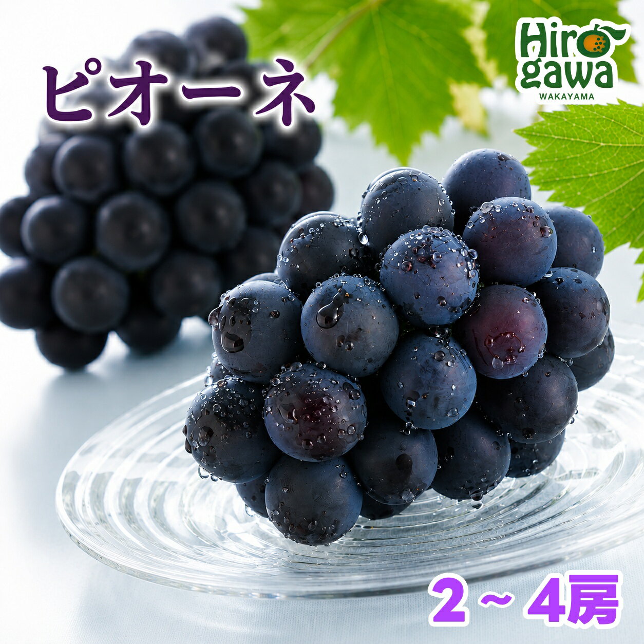 【ふるさと納税】 ピオーネ 2房 4房 / 高級 甘い 和歌山 フルーツ ぶどう 果物 ※8月中旬〜9月中旬頃に順次発送予定 ※北海道・沖縄・離島への配送不可 //hokaf