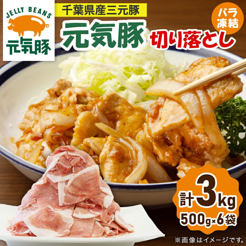 【ふるさと納税】【小分けで便利】国産 元気豚 切り落とし 3kg(500g×6袋)　千葉県産三元豚　パラパラ凍結【配送不可地域：離島・北海道・沖縄県】【1032617】