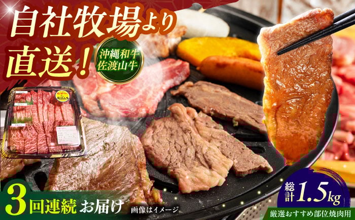 
            【全3回定期便】【厳選！おすすめ部位】沖縄和牛 佐渡山牛 焼肉用 500g 牛肉 焼肉 焼き肉 和牛 赤身 沖縄市 / 肉のサブロー [BCBC011]
          