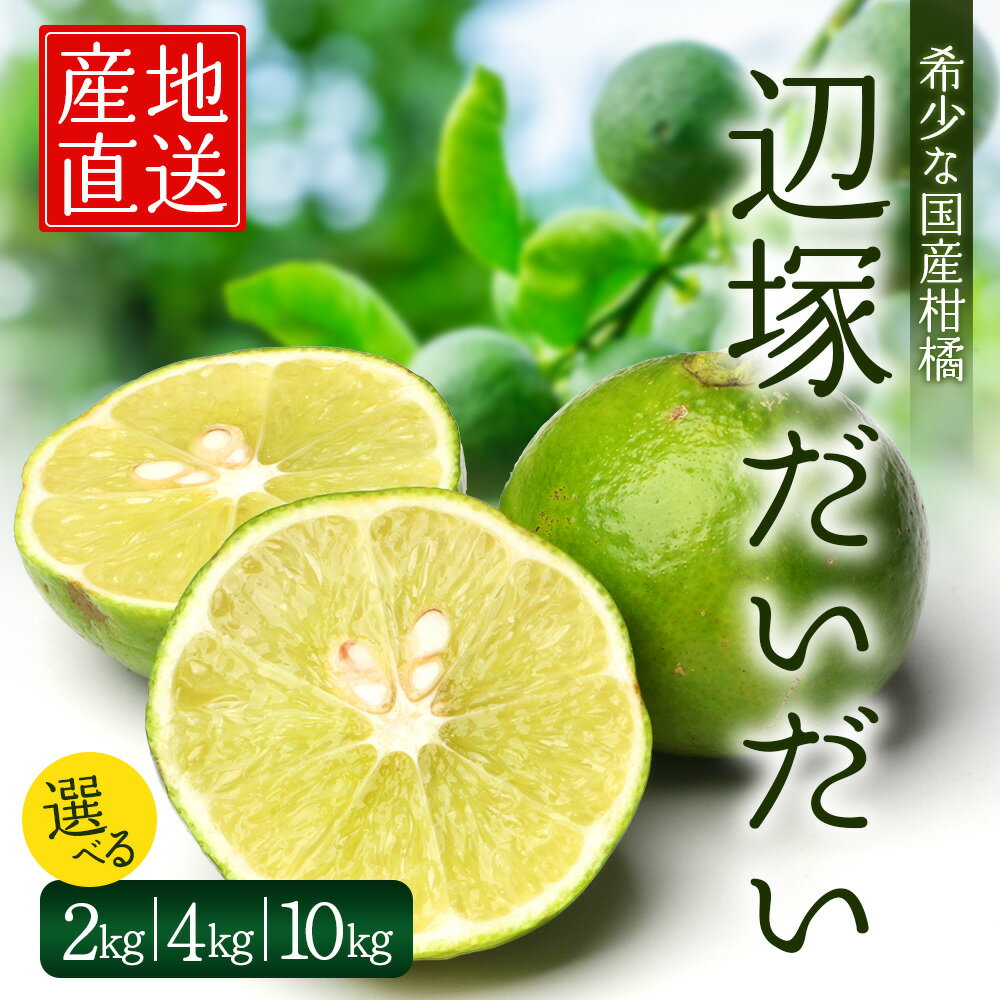 【ふるさと納税】辺塚だいだい (約2kg ・約4kg・約10kg )｜果物 柑橘 辺塚だいだい へつか 産地直送 詰め合わせ 2kg 国産 新鮮 おすすめ 人気 南大隅町