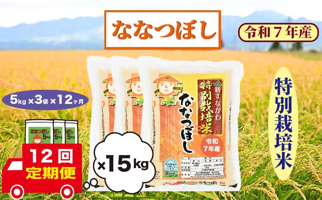 【定期便12回】北海道奈井江町　特別栽培米　ななつぼし　15kg