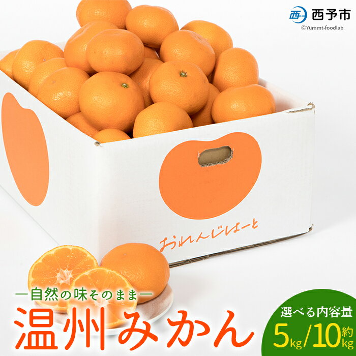【ふるさと納税】先行予約 ＜温州みかん 約5kg/10kg＞ 選べる 柑橘 みかん ミカン 蜜柑 果物 くだもの フルーツ オレンジ うんしゅうみかん 国産 愛媛県産 特産品 おれんじはーと 食べて応援 西宇和 愛媛県 西予市 【常温】『2025年11月中旬～12月中旬迄に順次出荷予定』