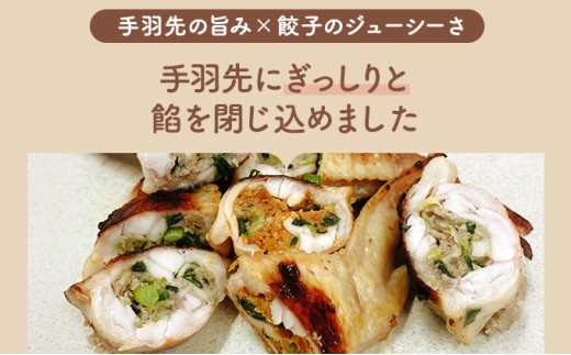 北海道産鶏肉を使った手羽餃子【北の手羽ぎょうざ】15個セット(5個×3袋)≪配送地域限定≫【53101】