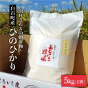 【ふるさと納税】【令和6年産新米！】 特別栽培米 ひのひかり 5kg 白米～山口さんちの贈り物～【y'scompany】米 コメ お米 佐賀県産 白石町産 [IAS010]