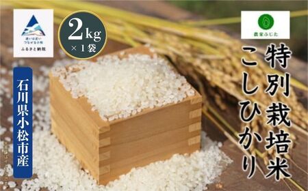 こしひかり 精米 2kg  特別栽培米 令和7年産 こしひかり コシヒカリ 農家ふじた fe002n00