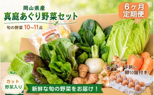 
                  【6カ月定期便】真庭あぐり野菜セット カット野菜が1品入る 10～11品 平飼い卵付き / 産地直送 農家 お試し 岡山県 新鮮 あぐりガーデン 国産 【配送不可地域：北海道／沖縄県／離島】 【jujy-tkb063】
                