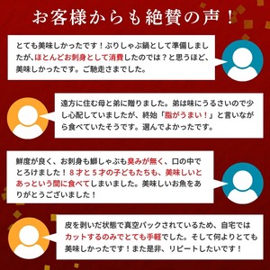 ぶり 鰤 700 ~ 900g 半身 魚 鮮魚 ブランド 極みブリ カマ付き 刺身 ブリしゃぶ 鍋 新鮮 高知県 須崎市 ぶり鍋 ブリ 鍋 鰤 鍋 ぶり ぬた ブリ にんにく葉 ぶり 炙り ブリ 脂が