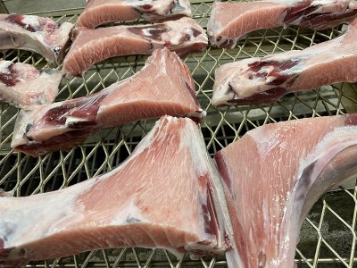 a10-895　焼いてある！ 鮪 カマトロ の 干物