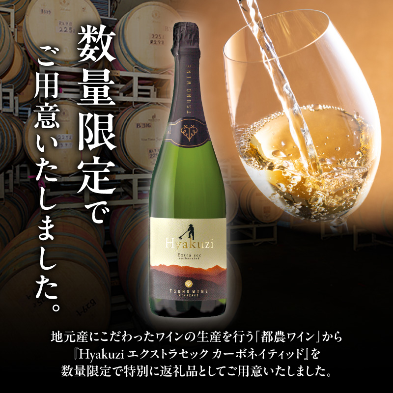 【数量限定】Hyakuzi エクストラセック カーボネイティッド(計1本)_T014-007【酒 飲料 アルコール 国産 人気 ギフト 食品 お酒 BBQ お土産 限定品 贈り物 送料無料 プレゼント