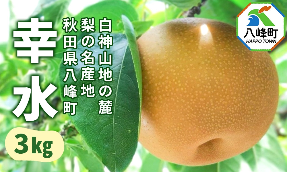
            梨 幸水 3kg 白神山地の麓 峰浜の梨 笠原果樹園
          